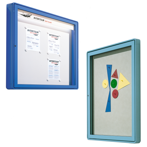 Vitrine W4 mit Flügeltür zur Wandmontage Einsatz im Innenbereich