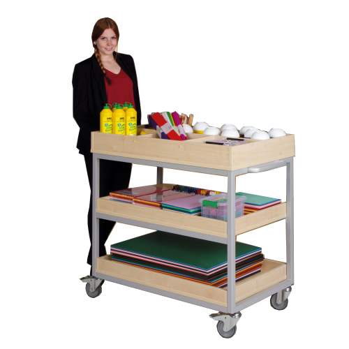 Vorbereitungswagen mit 3 Ablageböden, 6 Fächern oben, fahrbar B/H/T: 100 x 113 x 60 cm, mit Aufkantung